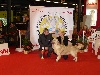  - Paris Dog Show 2010