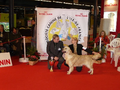 Peace & plenty - Paris Dog Show 2010